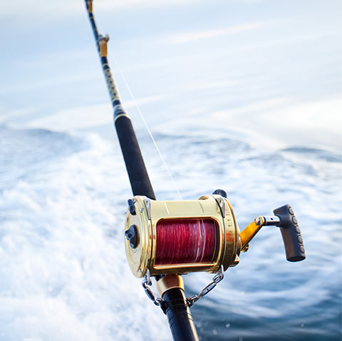 Fishing Pole